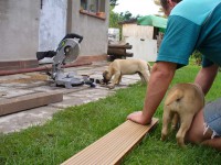 /album/skupinove-foto-a-takhle-se-mame-/uz-jen-ve-dvou-a-takhle-pomahame-panickovi-jpg/